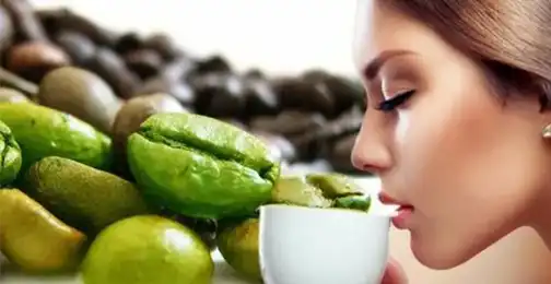 What Are the Benefits of Green Coffee Bean Extract Powder?